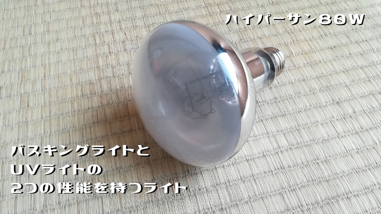 バスキングライトのハイパーサン