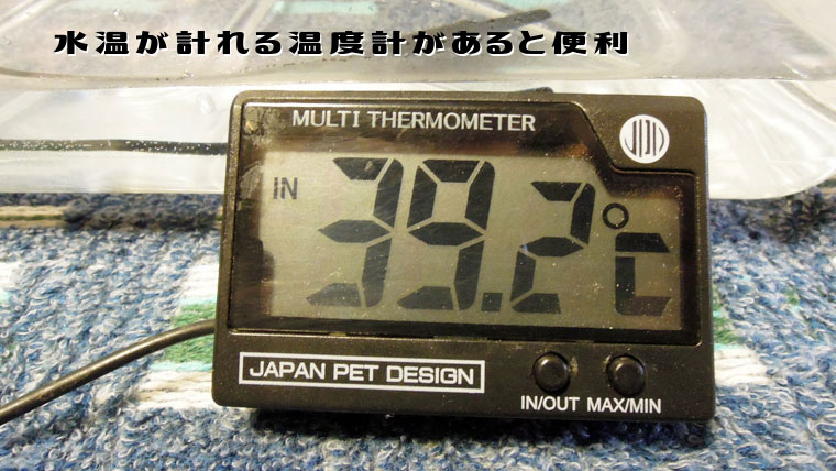 フトアゴの温浴水温度計