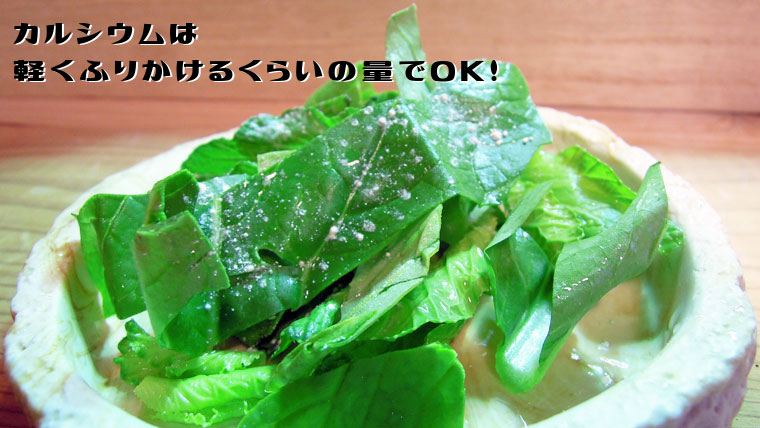 フトアゴの餌にはカルシウムをかけよう!ダスティング