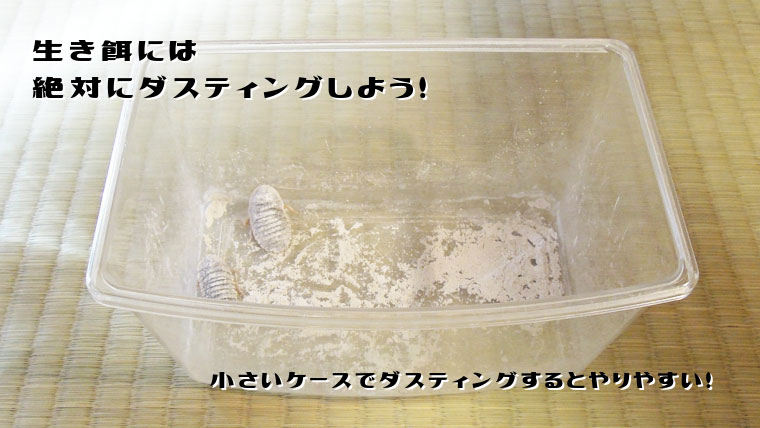 フトアゴの餌にはカルシウムをかけよう!デュビア