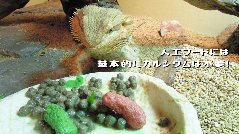 フトアゴの餌にはカルシウムをかけよう!人工フード
