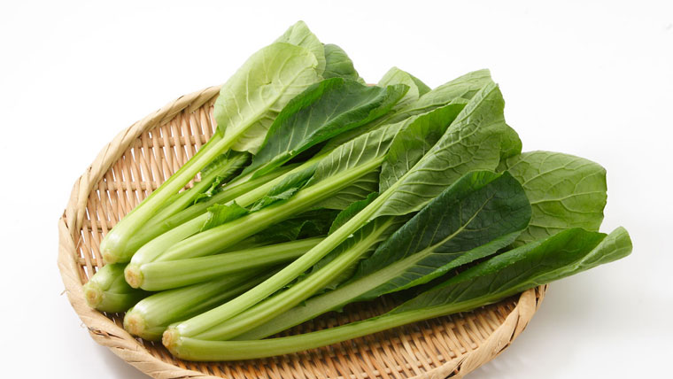 フトアゴの餌・野菜小松菜