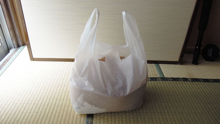 フトアゴケージ掃除10