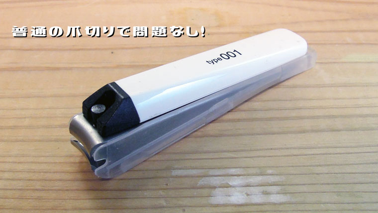 フトアゴヒゲトカゲの爪の切り方つめきり
