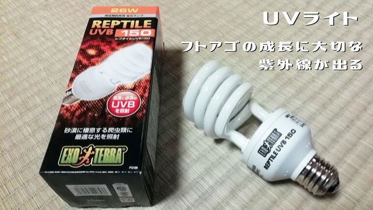 フトアゴ飼育器具のUVライト